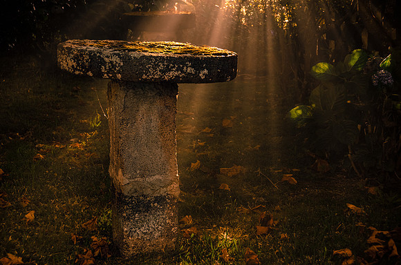 Garden Light