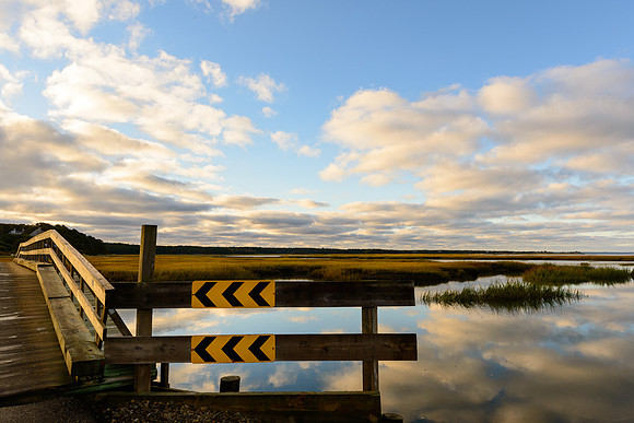 Salt Marsh Sanctuary I