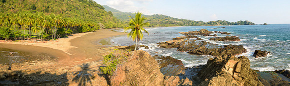 Playa Dominicalito Pano