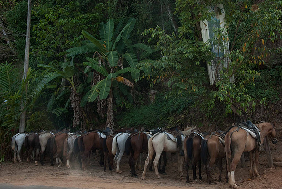 Nauyaca Waterfalls - Horseback Expedition