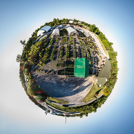 Planet Reid