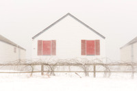 2014 Snowstorm - 1