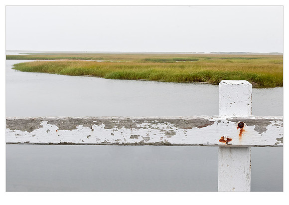 Salt Marsh
