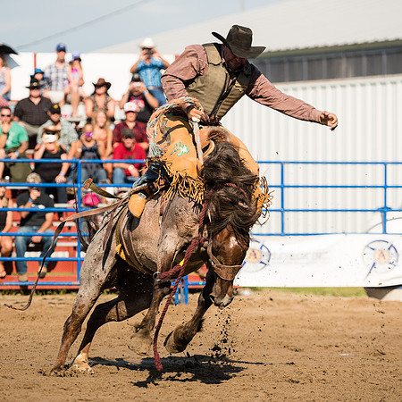 2014 Spencerville Rodeo-1