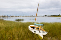 Alice in Reeds
