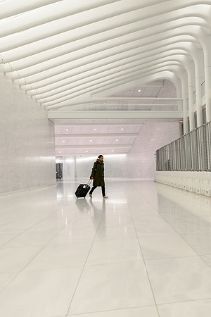 Solo Traveller