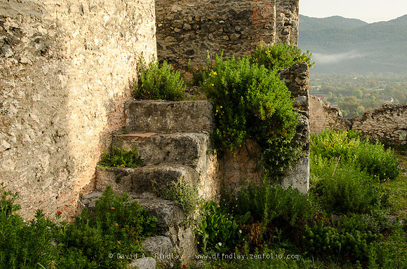 Garden Steps