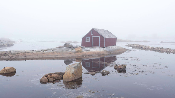 Newfoundland-100