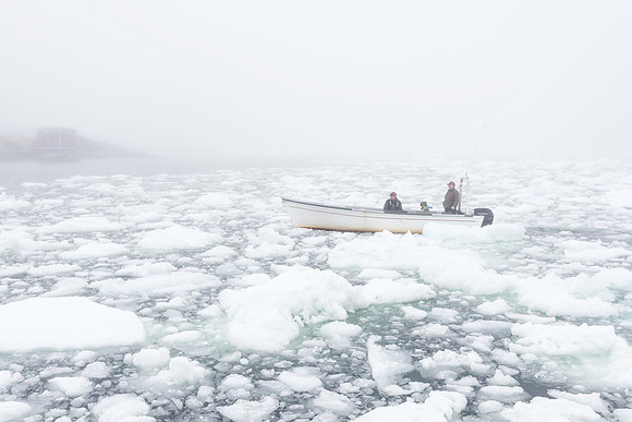 Newfoundland-100