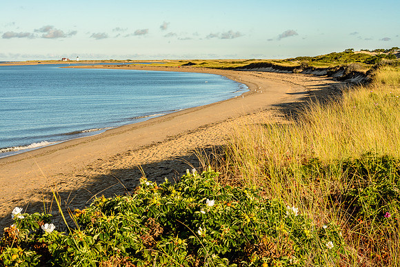 Race Point and Roses