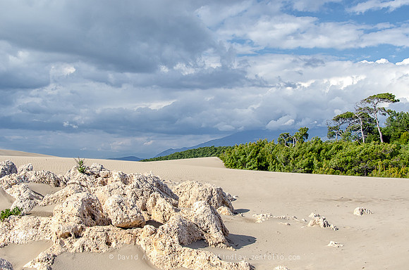 Dunes and Sky