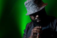 The Roots