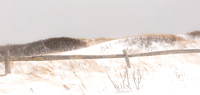 2014 Snowstorm - 6