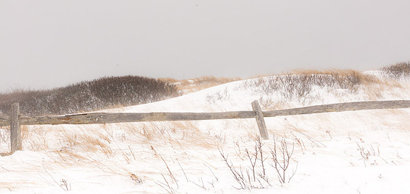 2014 Snowstorm - 6
