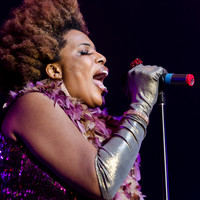 2013 Ottawa Jazz Festival