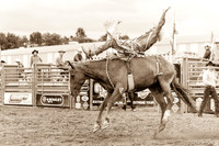 Russell Rodeo 2014