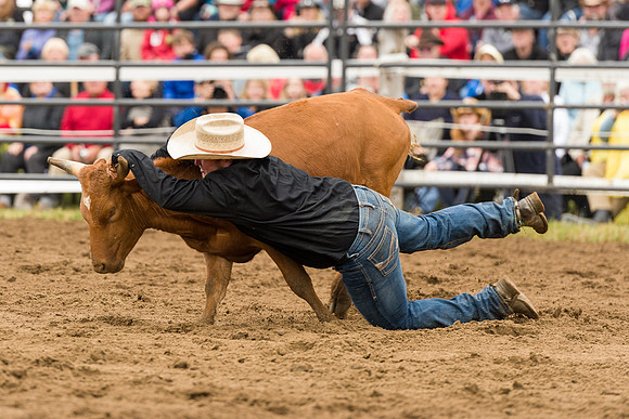 2016 Arnprior Rodeo-103