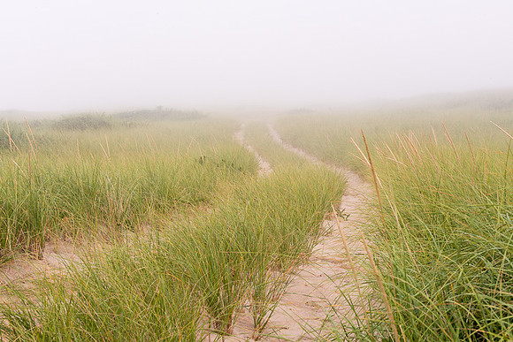 Fire Road