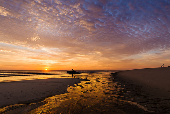 Surfer at Sunrise