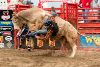 Russell Rodeo 2014