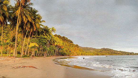 Playa Dominicalito Pano 2