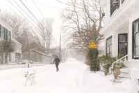 2014 Snowstorm - 4