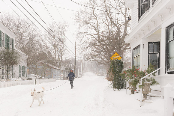 2014 Snowstorm - 4