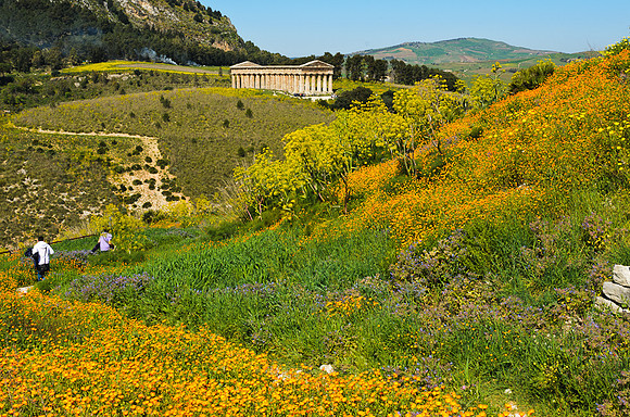 Temple and Wildflowers